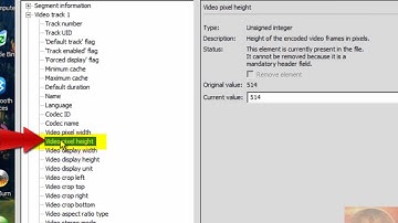 Change frame size on a video (without re-encoding)