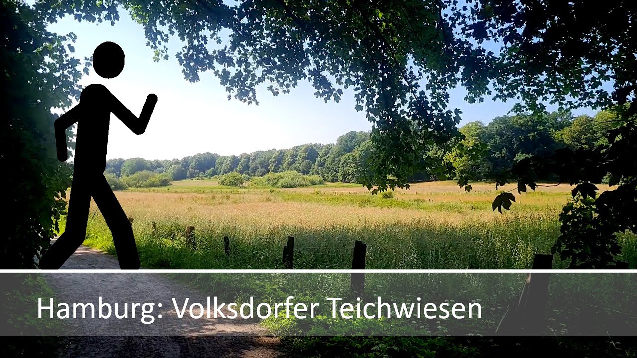 Der Geher in Hamburg: Volksdorf, Teichwiesen