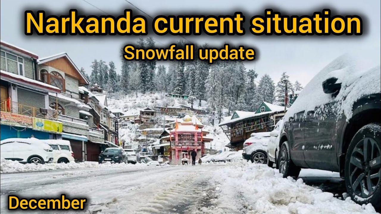 Narkanda current situation on 19 december| Narkanda today| Himachal Pradesh 