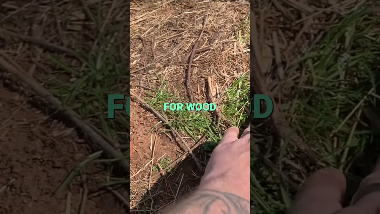 Wood Processing Made Easy  Testing the Holtz Burke Hatchet 