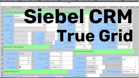 Siebel Form Applets - True Grid