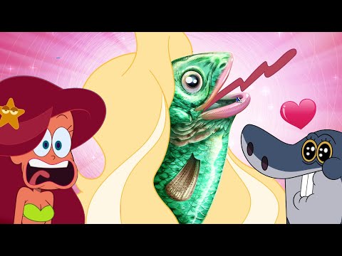 Zig x Sharko | The Sirens New Episodes In Hd