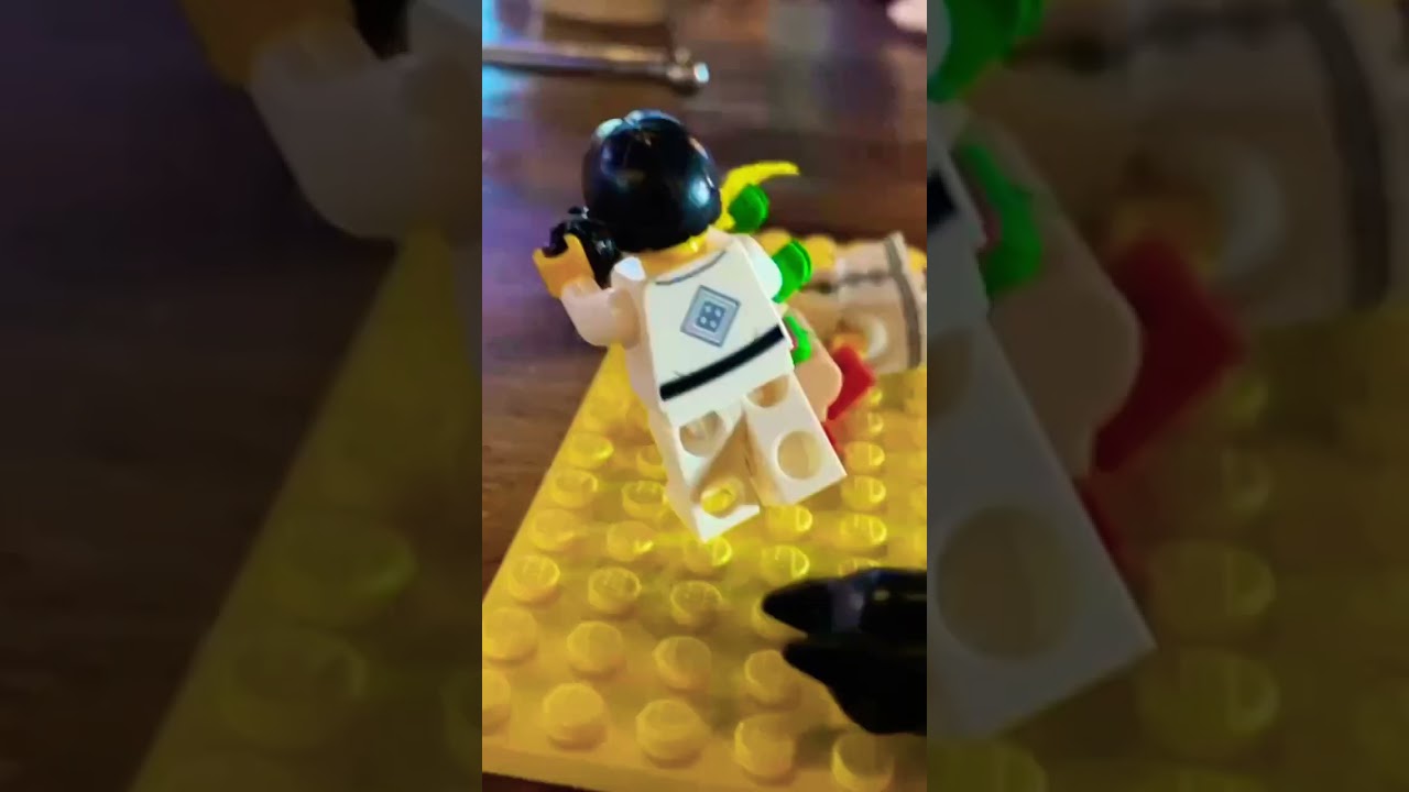 Kung foo fighters vs Batman and robin