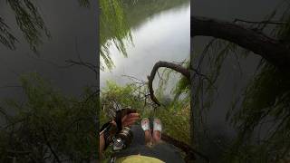 How To See Fish In Clear Water #fishingdaily #fishing #handfish #fishfinder #feederfishing