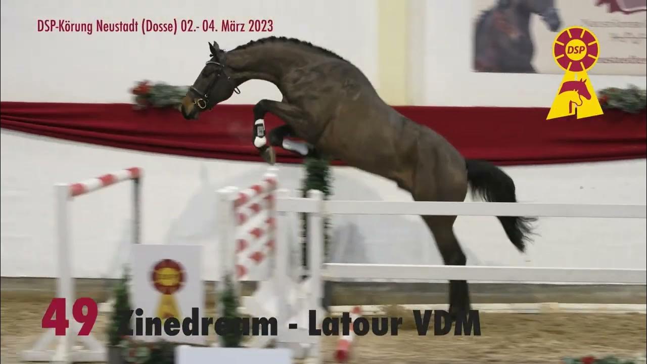 Trailer DSPKörung und Auktion "Schaufenster der Besten 2023" Neustadt