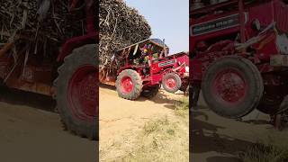 M Driving Wheeling Tractor Mahindra King Sugarcane Load