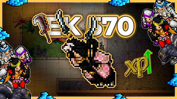 EK 570 Hunt Solo Asura Mirror 5.6kk/h Raw + 1.2kk Profit - Tibia Hunt [14.12] #tibia #tibiahunt