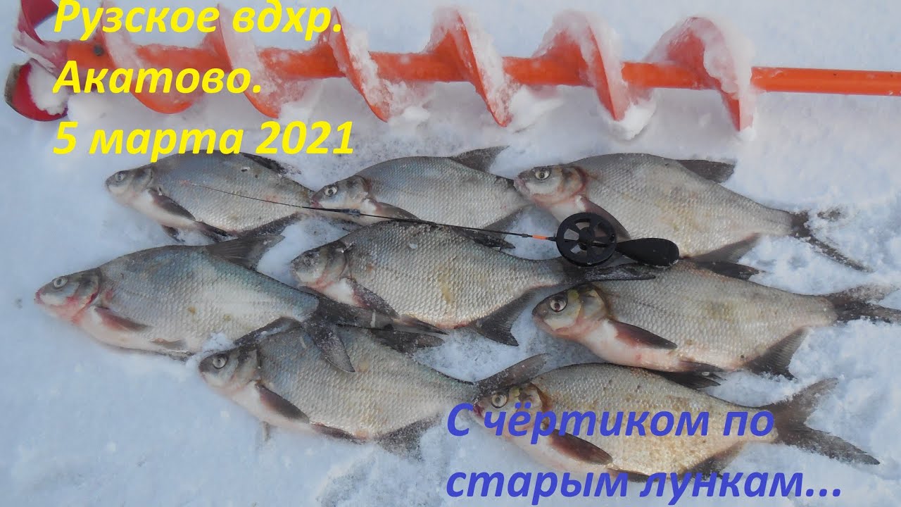 Отчеты о рыбалке рузское водохранилище 2025