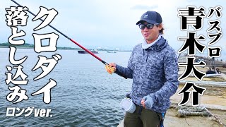 青木大介釣り完全版 DVD】 つり人社 シリアス 最終章 青木大介 ファイナルフィネス