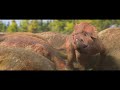 Movie Walking With Dinosaurs 2013 Full Movie