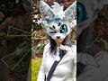 CAT SANCTUARY VISIT!! ✨ // #fyp #cosplay #cosplayer #furry