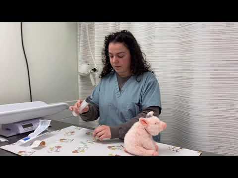 How to Administer Subcutaneous (SQ) Fluids—Syringe Method