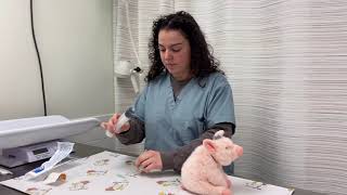 How To Administer Subcutaneous Sq Fluidssyringe Method