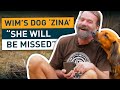 In memory of my beloved Zina.❤️