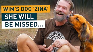 In Memory Of My Beloved Zina.❤️