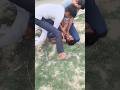 tedhe medhe ke chakkar me colddrink gira di#comedy #funnyvideo#funnyshorts#hrgdesiboys@hrgdesiboys