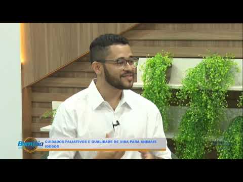 Cuidados paliativos e qualidade de vida para animais idosos 02 01 2025