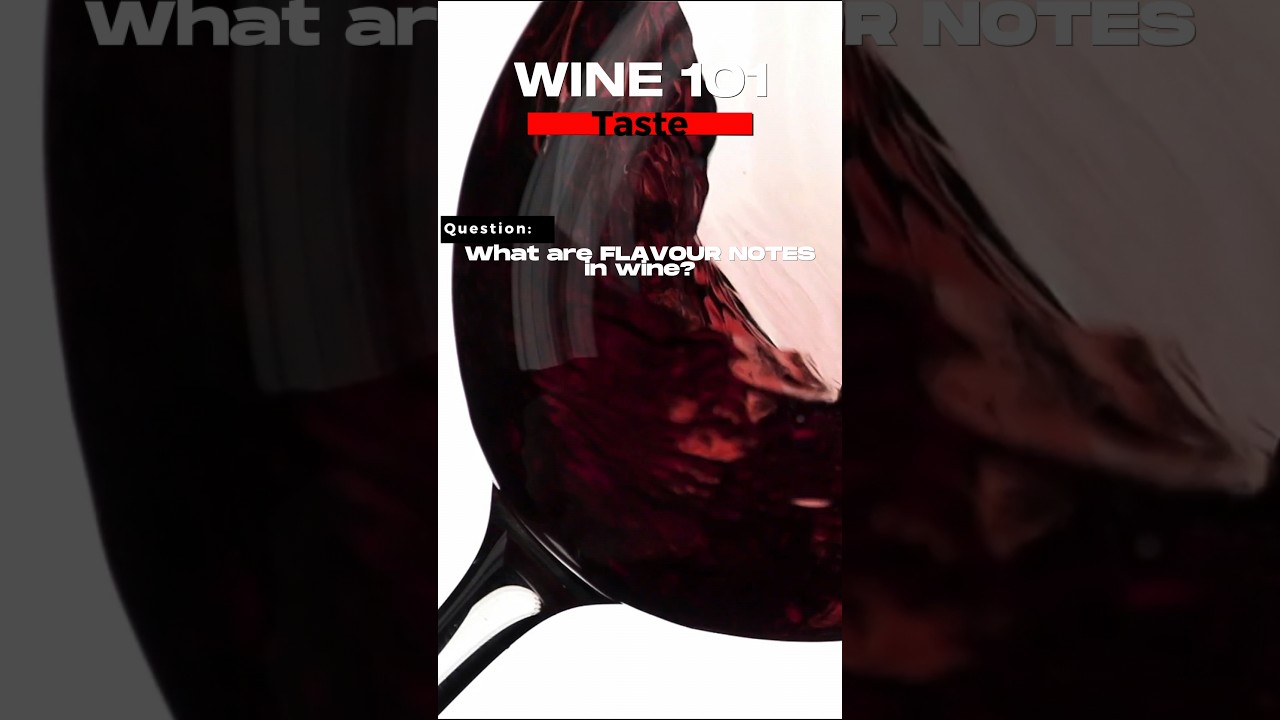 WINE 101: What are Flavour Notes in wine?