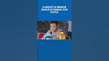 Kronologi 2 Anggota Brimob Gugur Dianiaya KKB Papua Sebelum Ditembak