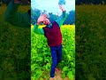 Mohabbat mein humra se jaan marenge la funny video