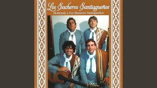 Video thumbnail of "Los Nocheros Santiagueños - Piel Chaqueña"