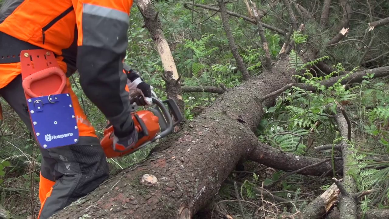 Eu após assistir o vídeo de como fazer uma motosserra de papelão e vir