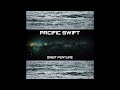 Pacific Swift - Orbit Feature