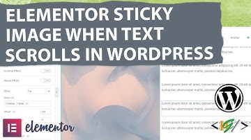 How to Make Elementor Sticky Image When Text Scrolls in Elementor Pro WordPress