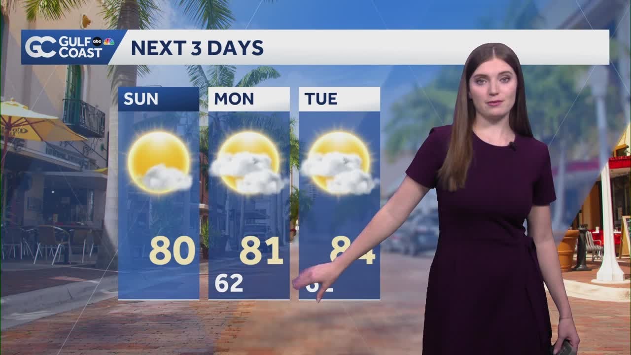 Sunny skies and seasonable temperatures stick around on the Gulf Coast ...