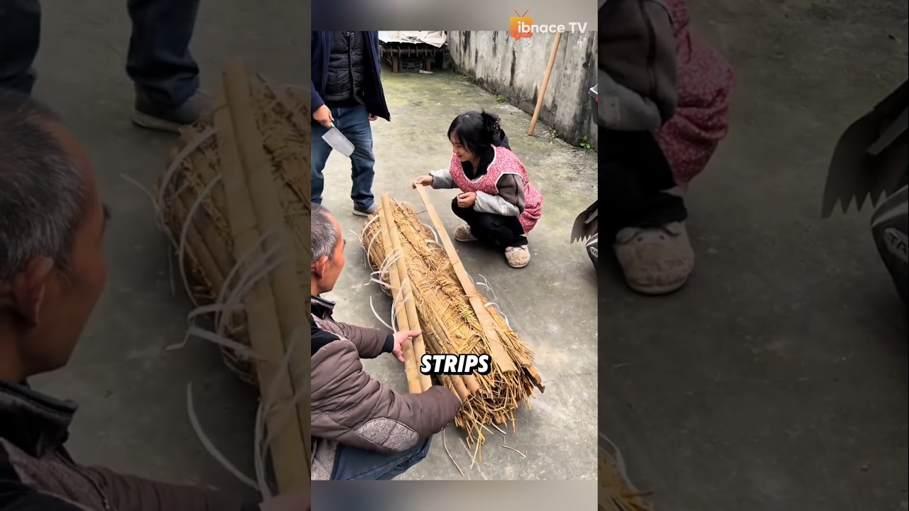 Скрытое внутри бамбука: традиционная сычуаньская ферментация табака.