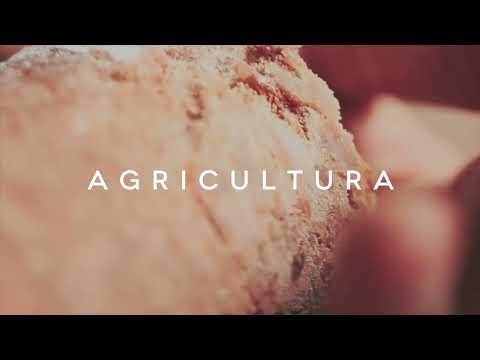 Agricultura - Potassio do Brasil - video from Potássio do Brasil