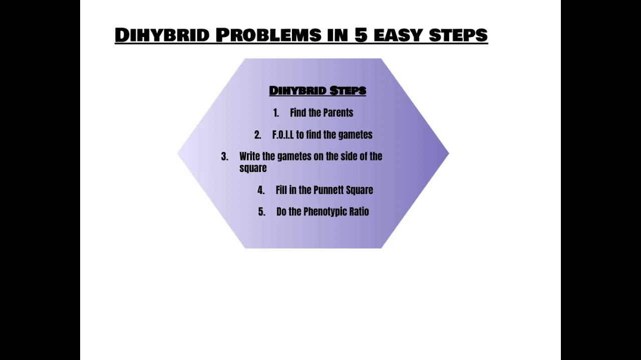 Phenotypic ratio Introduction