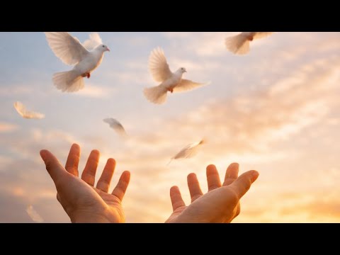 Damaimu Penuhi Hatiku |Lagu Rohani Terbaru by Pelita Hati #lagurohani #Motivasirohani 