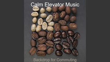 Backdrop for Studying - Vibraphone