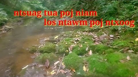 Dab neeg tub ntsuag tau poj niam los ntawm poj ntxoog 11-4-2022