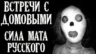 видео: Встречи с Домовыми. Истории про Домовых (4в1) картинка: Встречи с Домовыми. Истории про Домовых (4в1)