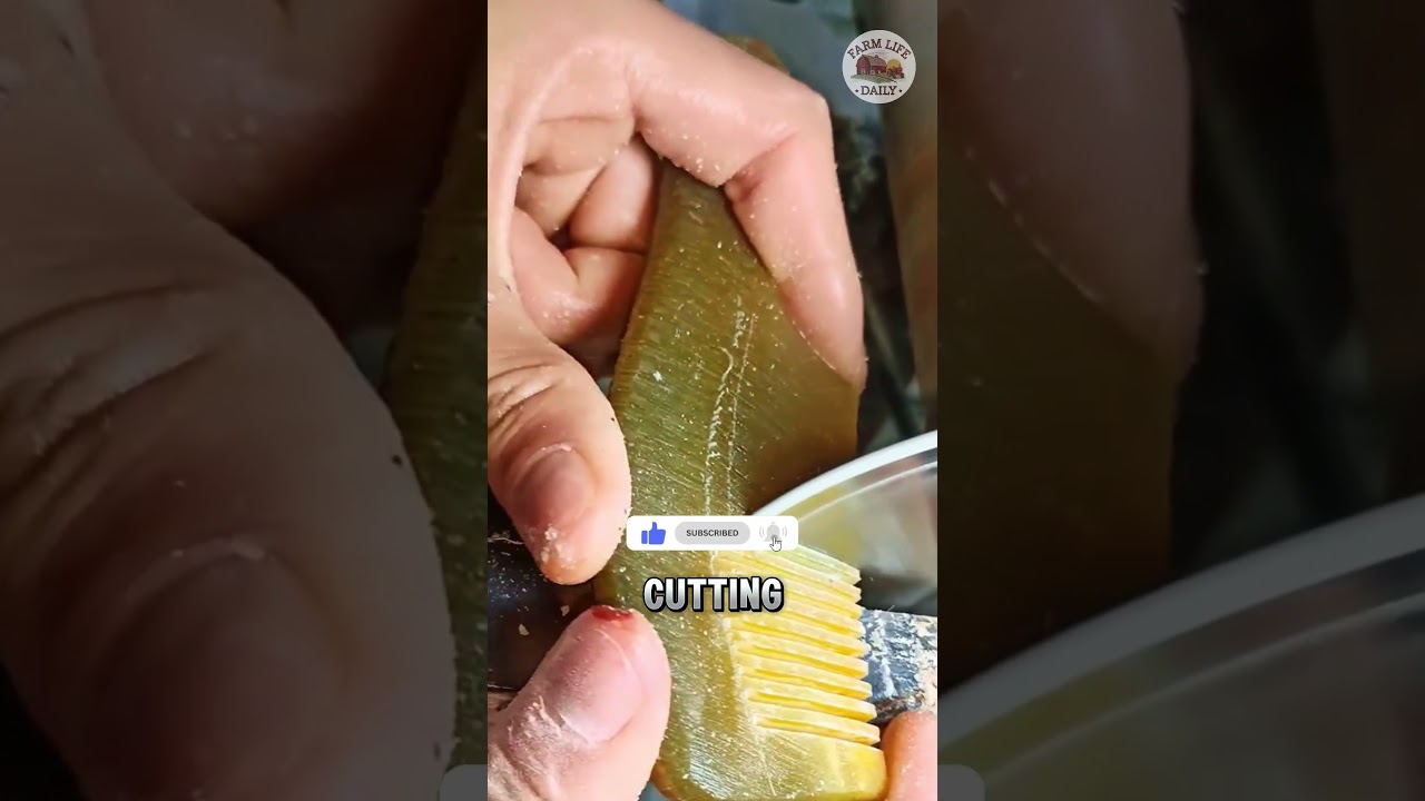 Buffalo Horn Combs - The Beauty of Traditional Craftsmanship 