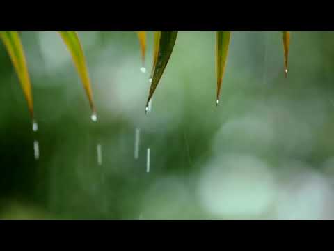 Peaceful Piano with Rain Sounds, Deep Sleep and Stress Relief – Relaxing Sleep Music for Insomnia