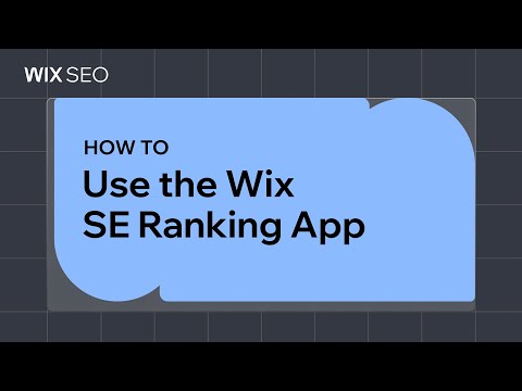 seo packages