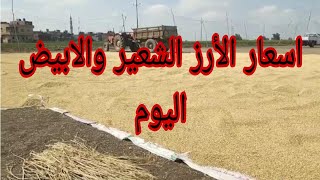 اسعار الأرز الشعير على اول اليوم/سعر الارز الابيض والشعير/اسعار الأرز/سعر الارز اليوم /الاسعار اليوم