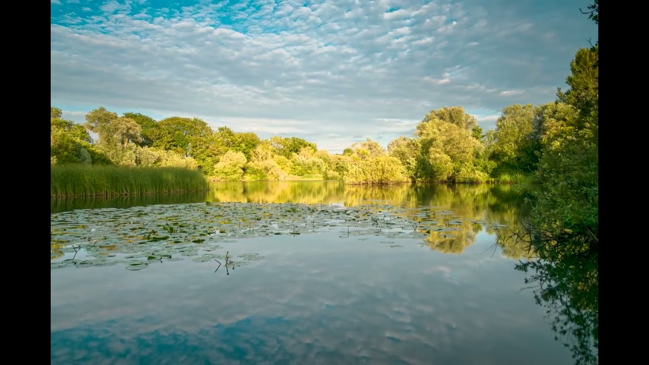 Barnwell CP Summer Prog 02 07 2024