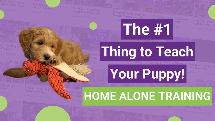 5 Kong Stuffing Ideas to Make Your Dog's Favorite Toy Last Longer!
