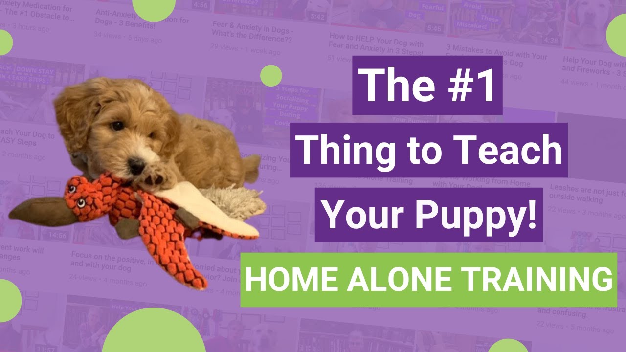The #1 Thing To Teach Your Puppy! Home Alone Training