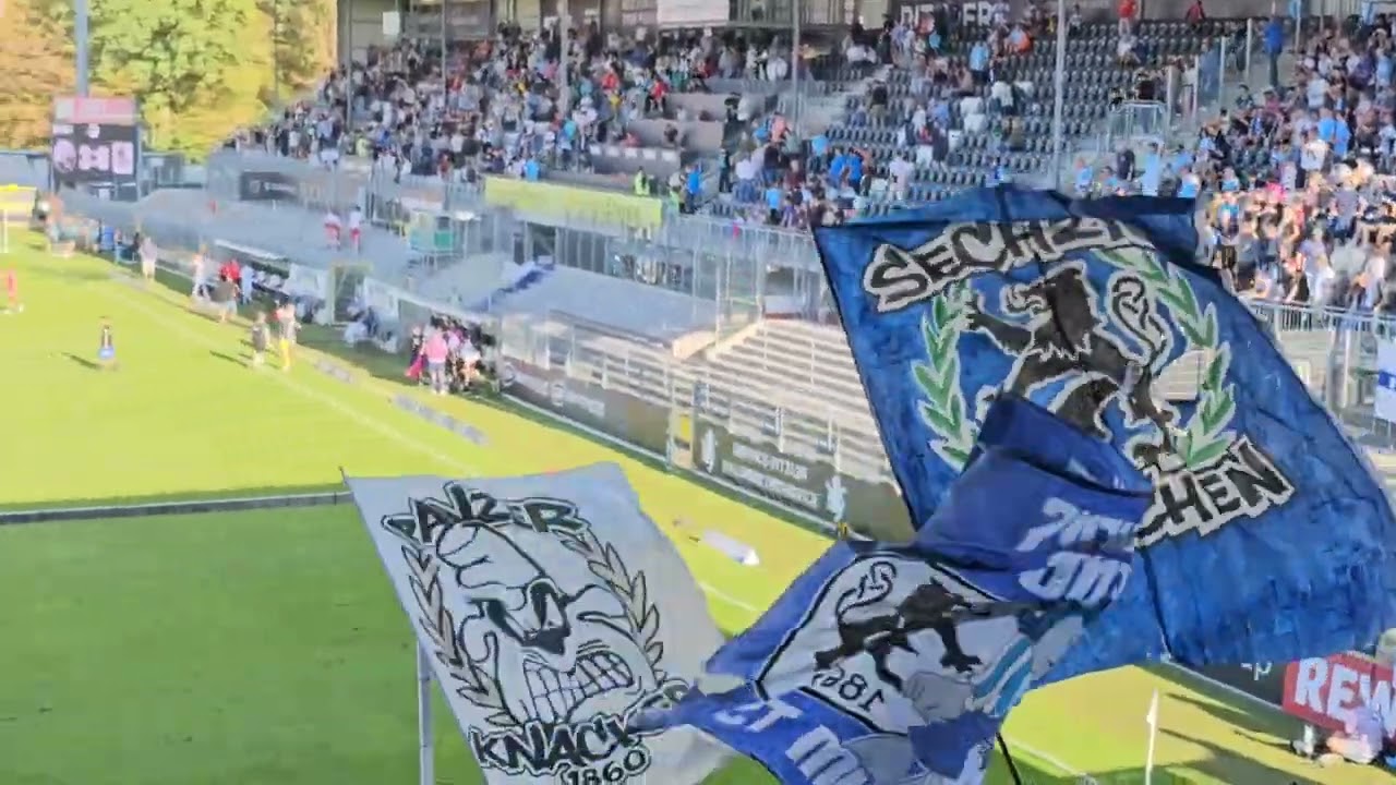 SV Sandhausen gg. TSV 1860 München 3:0 (2:0), 26.08.2023, Party zum Ende 