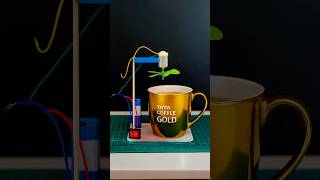 Celebrity Science project for class 8th students working model Easy science exhibition projects class Net Worth