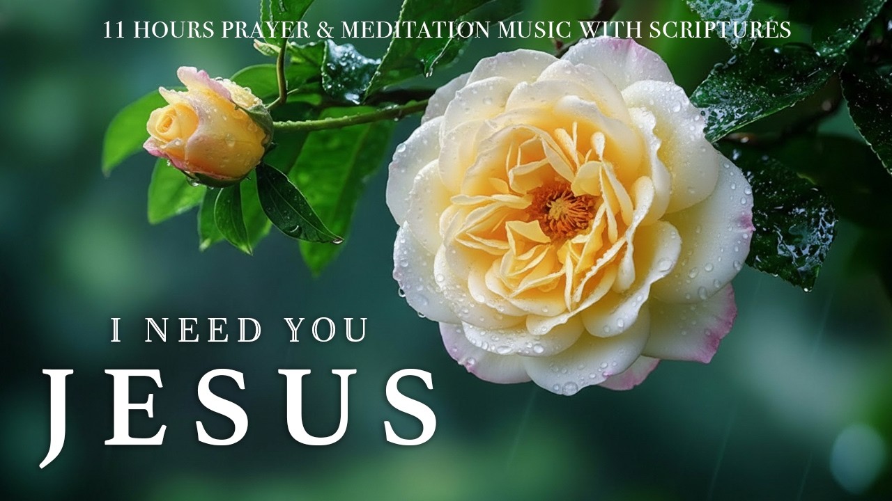 I NEED YOU JESUS | Calming Scriptures with Soft Gospel Piano | Christian Harmonies