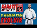 Karate online  aula 05 treino das tcnicas principais do karate shotokan