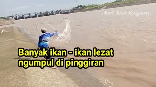 KAGET...!!!Jala Ikan dibawah Pintu Air Bendungan Gerak dapat ikan - ikan Lezat