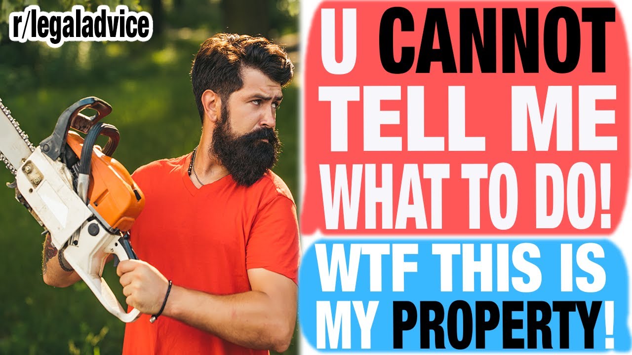 Neighbor Installed A Road Through My Property & Cut Down My Trees