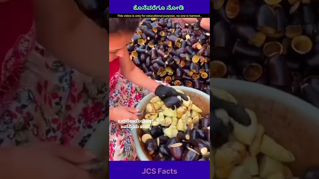 Sun-Dried Eggplants of Turkey 🍆✨